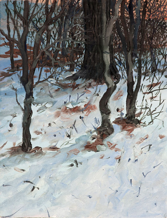 painting of the edge of a woods, snow and leaf covered ground