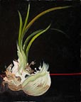 painting of a sprouting onion