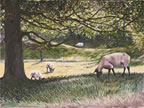painting of sheep grazing in a field