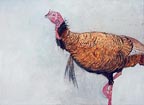 painting of a golden turkey