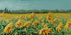 painting of a sunflower field