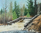 painting of a spillway off of the trout river