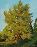 a painting of pine trees lit by evening sun