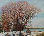 painting of willows in winter at seagull point