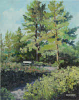 wooden bench under trees on a beach